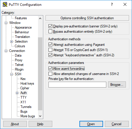 Putty Configuration SSH Authentication